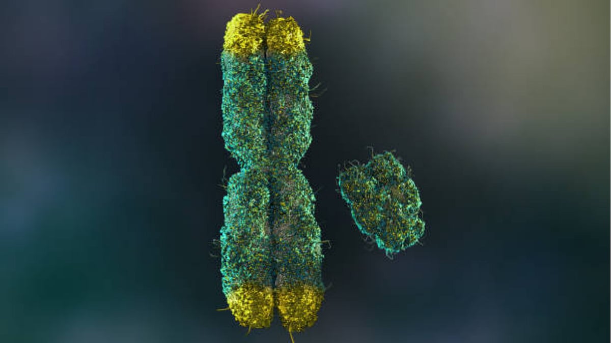 | Photo: istock : Y Chromosome Is Shrinking But Males Are Not: Study Hints At New Era Of Sex Determination 
